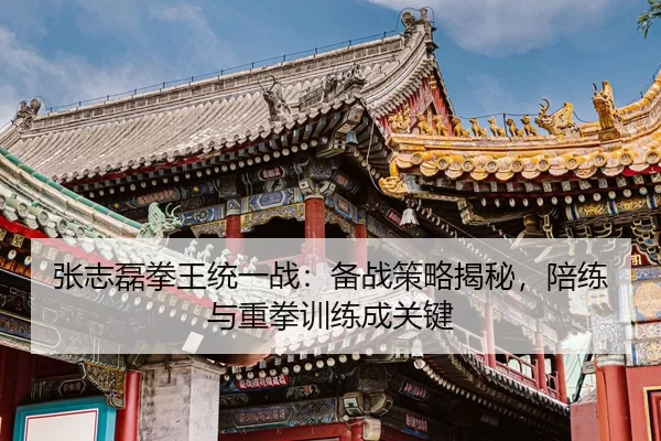 zhang-zhi-lei-quan-wang-tong-yi-zhan-bei-zhan-ce-lve-jie-mi-pei-lian-yu-zhong-quan-xun-lian-cheng-guan-jian-2-696.jpg