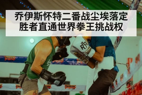 乔伊斯怀特二番战尘埃落定 胜者直通世界拳王挑战权
