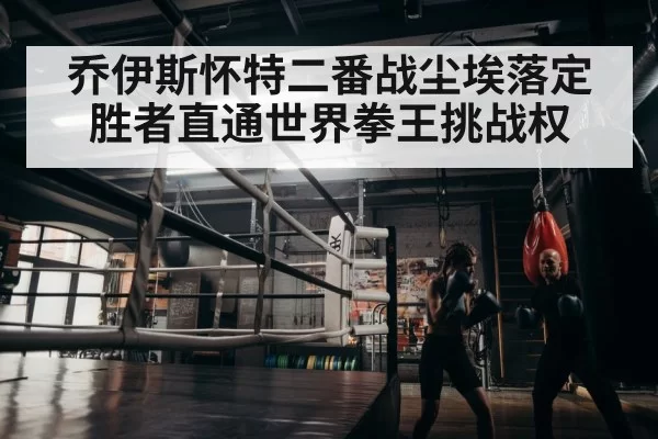 boxer training