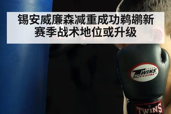 锡安威廉森减重成功鹈鹕新赛季战术地位或升级
