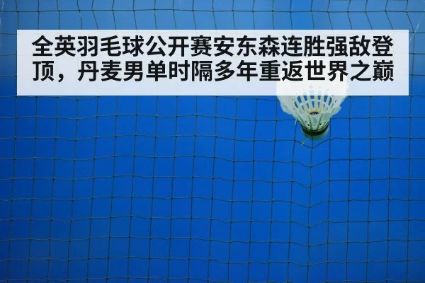 badminton net play